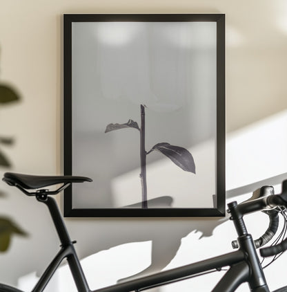Peony 18 - Poster / Art Print - interiör