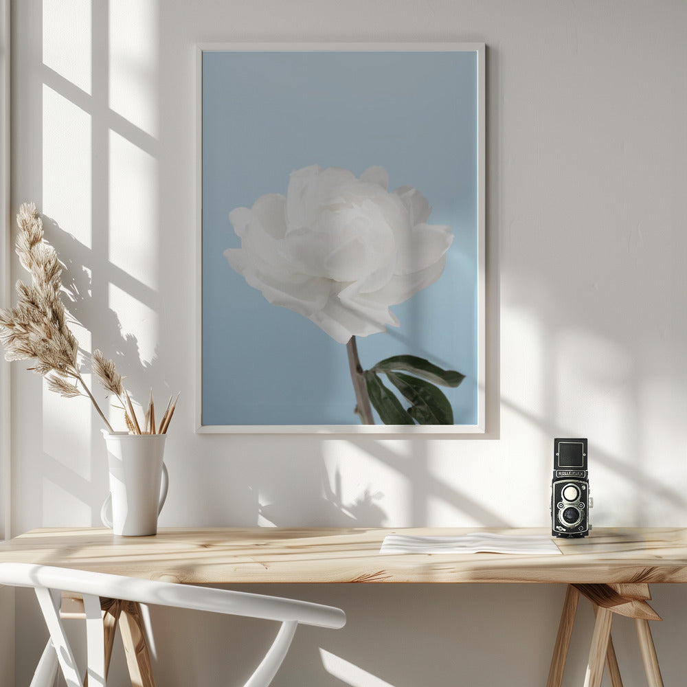 Peony - Poster / Art Print - interiör