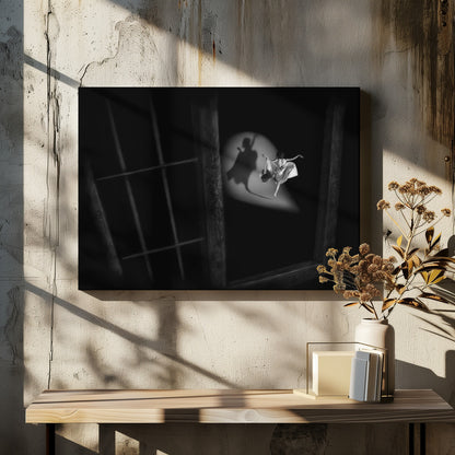 see my shadow - Poster / Art Print - interiör
