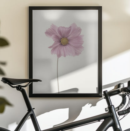 Cosmos flower - Poster / Art Print - interiör