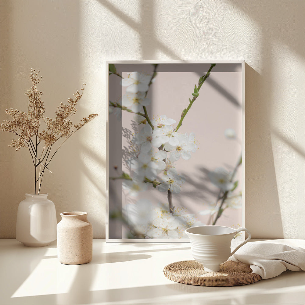 Cherry tree flowers - Poster / Art Print - interiör