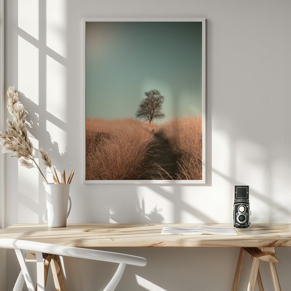 Grass and Path - Poster / Art Print - interiör