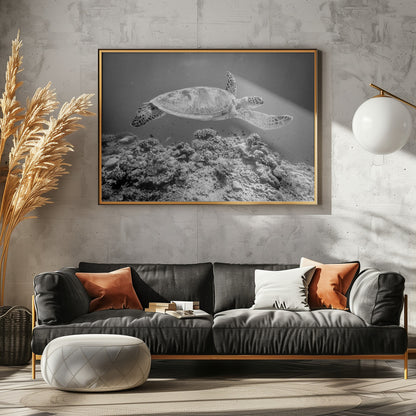 Sea Turtle at Sipadan - Poster / Art Print - interiör