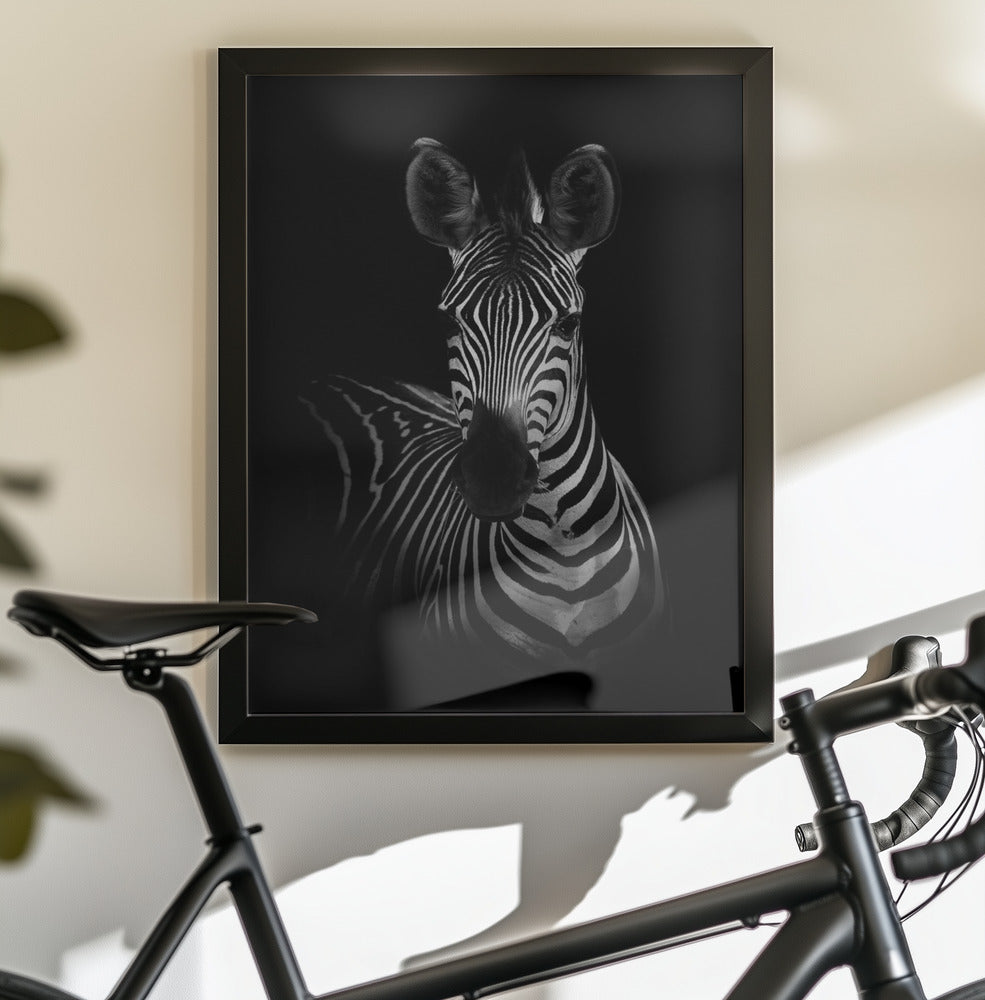 The Zebra - Poster / Art Print - interiör