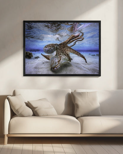 Dancing Octopus - Poster / Art Print - interiör