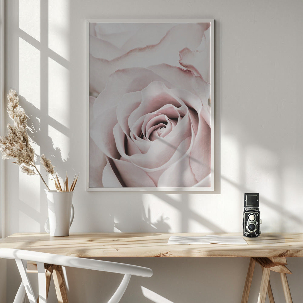 Pink Rose No 05 - Poster / Art Print - interiör