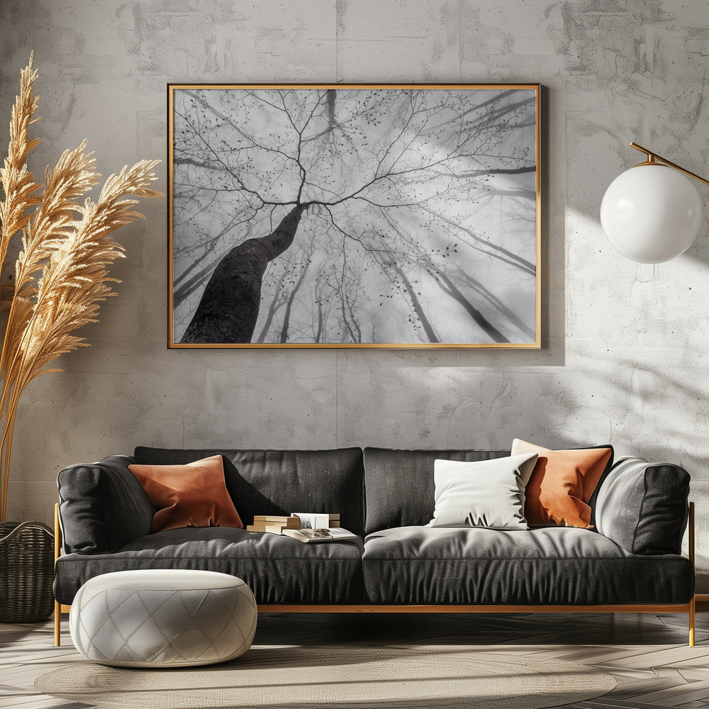 A view of the tree crown - Poster / Art Print - interiör