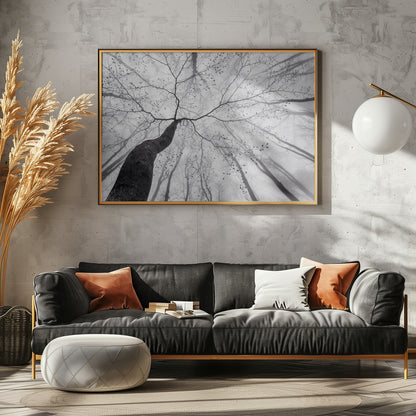 A view of the tree crown - Poster / Art Print - interiör