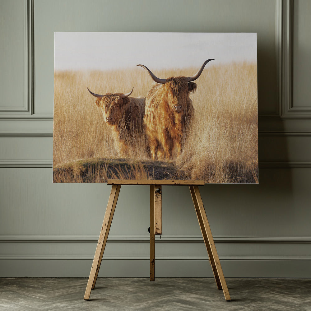 Young and old Highlander - Poster / Art Print - interiör