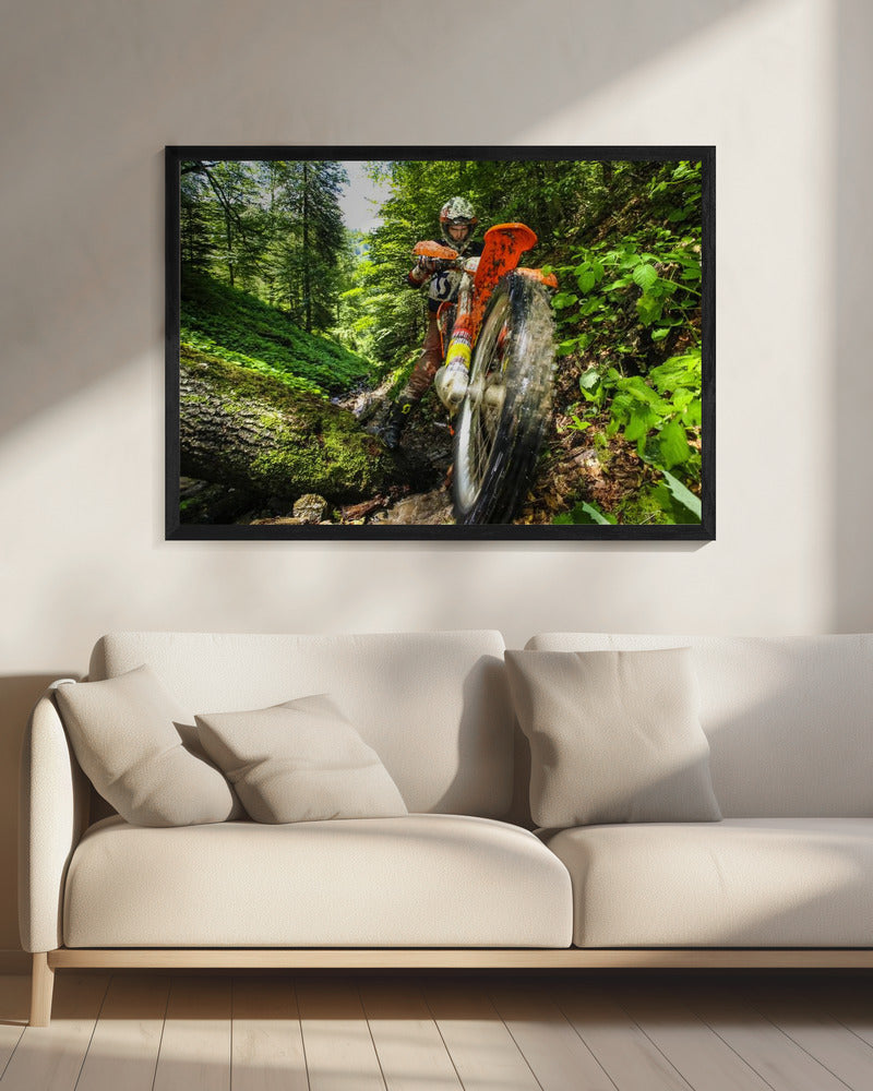 Carpath Enduro - Poster / Art Print - interiör