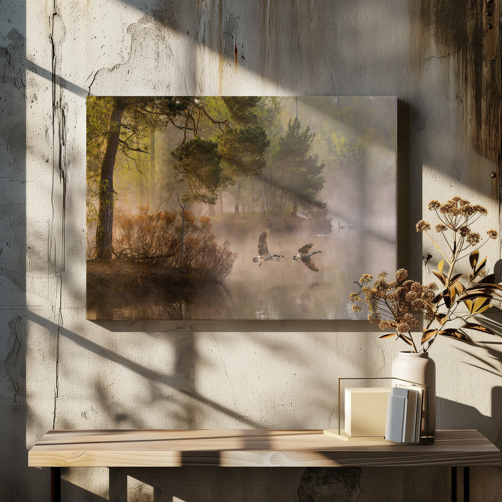 Goose fight - Poster / Art Print - interiör