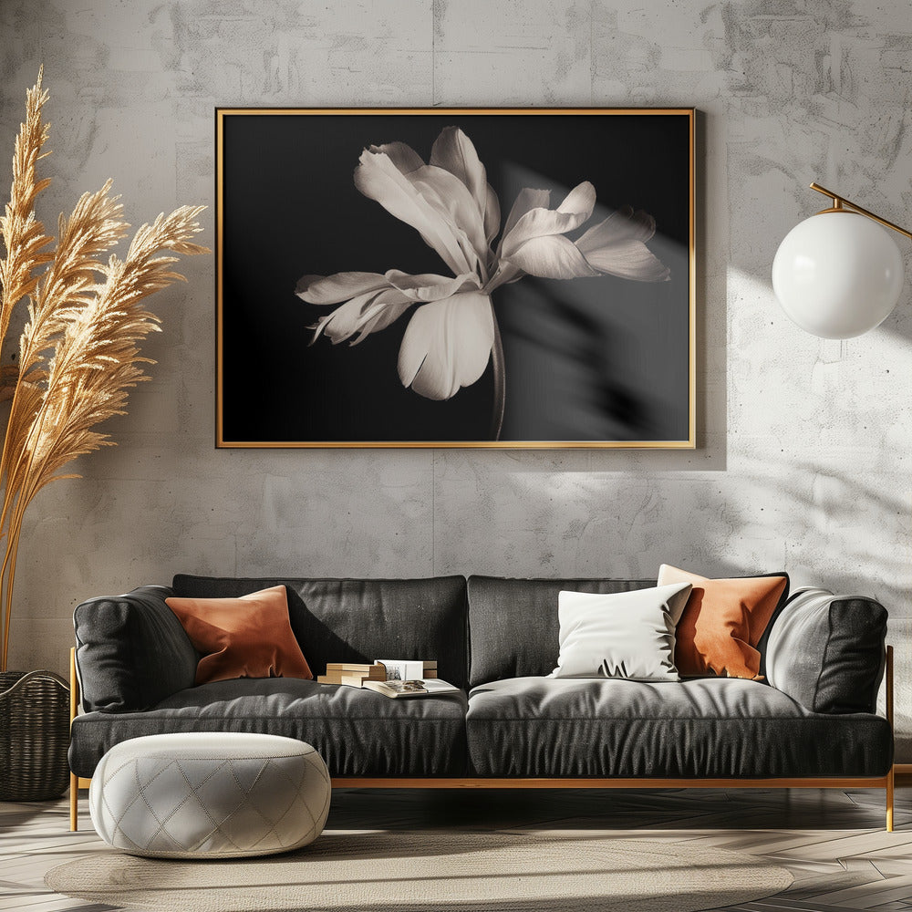 Tulip Exotic Emperor - Poster / Art Print - interiör
