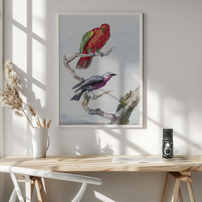 Two Birds, Including a Red Green Parrot - Poster / Art Print - interiör