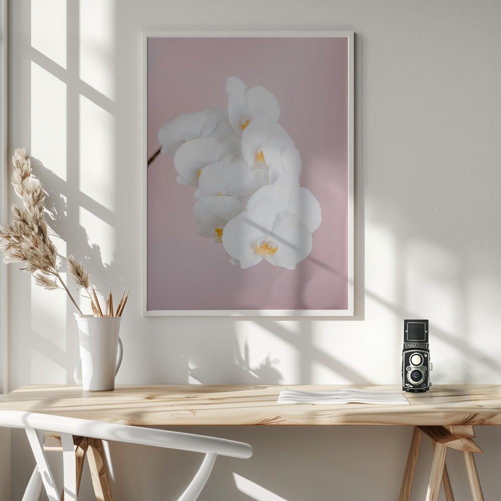 Orchid_2 - Poster / Art Print - interiör