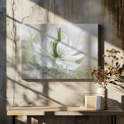 Nigella - Poster / Art Print - interiör