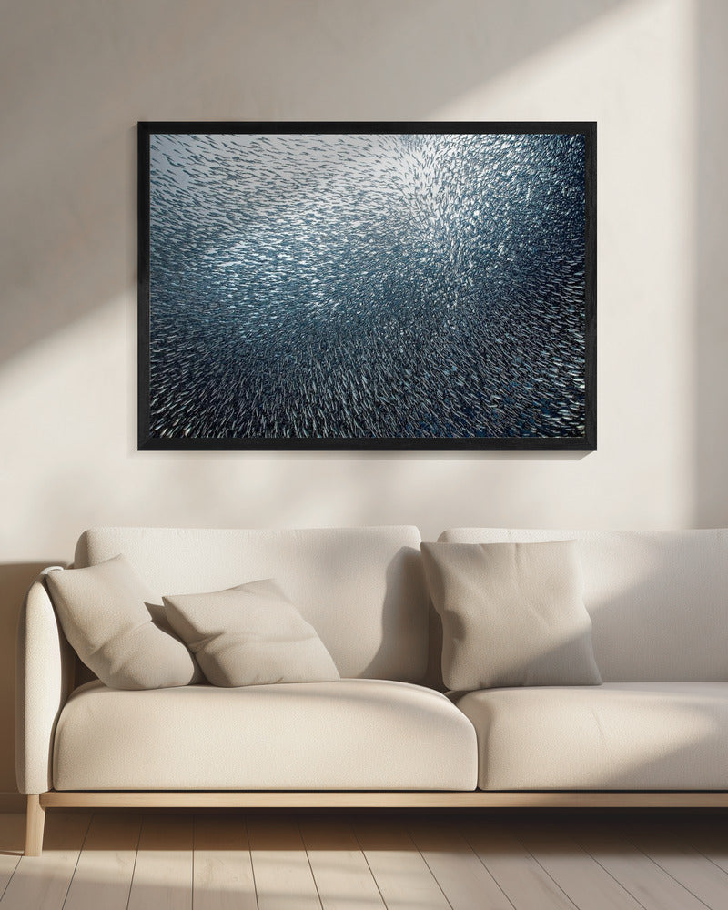 Sardines Firework - Poster / Art Print - interiör