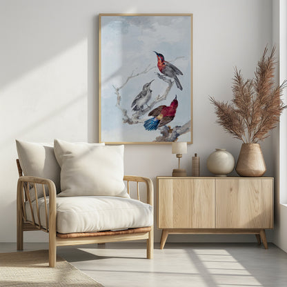 Three Crimson Sunbirds - Poster / Art Print - interiör