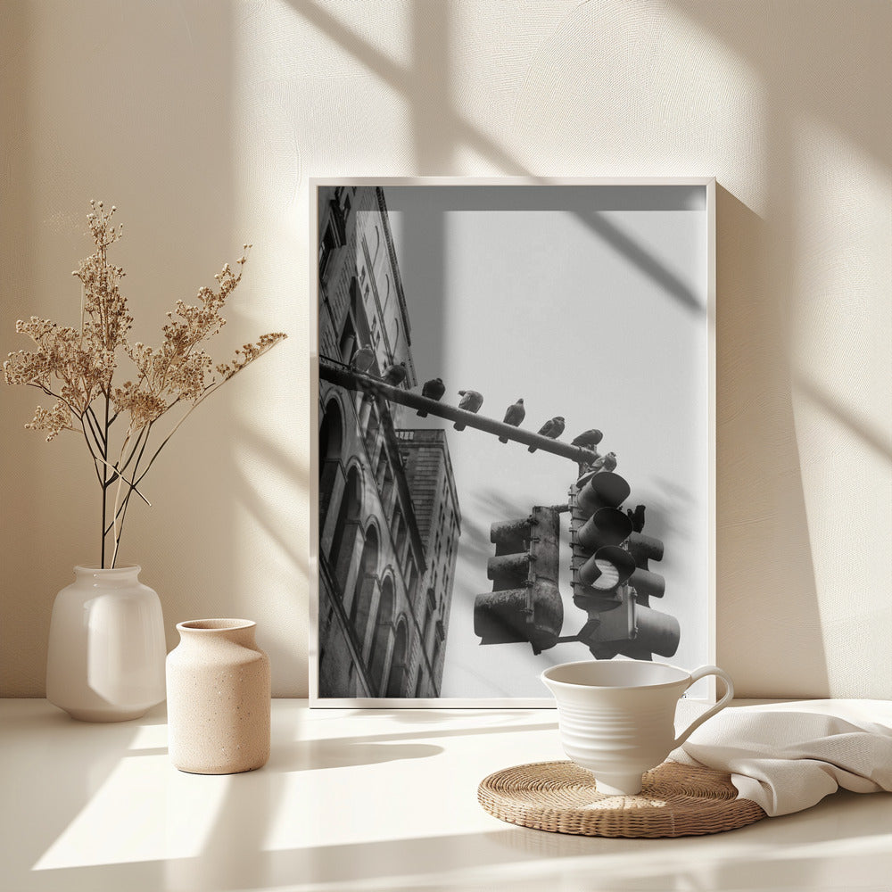 New York City Doves - Poster / Art Print - interiör