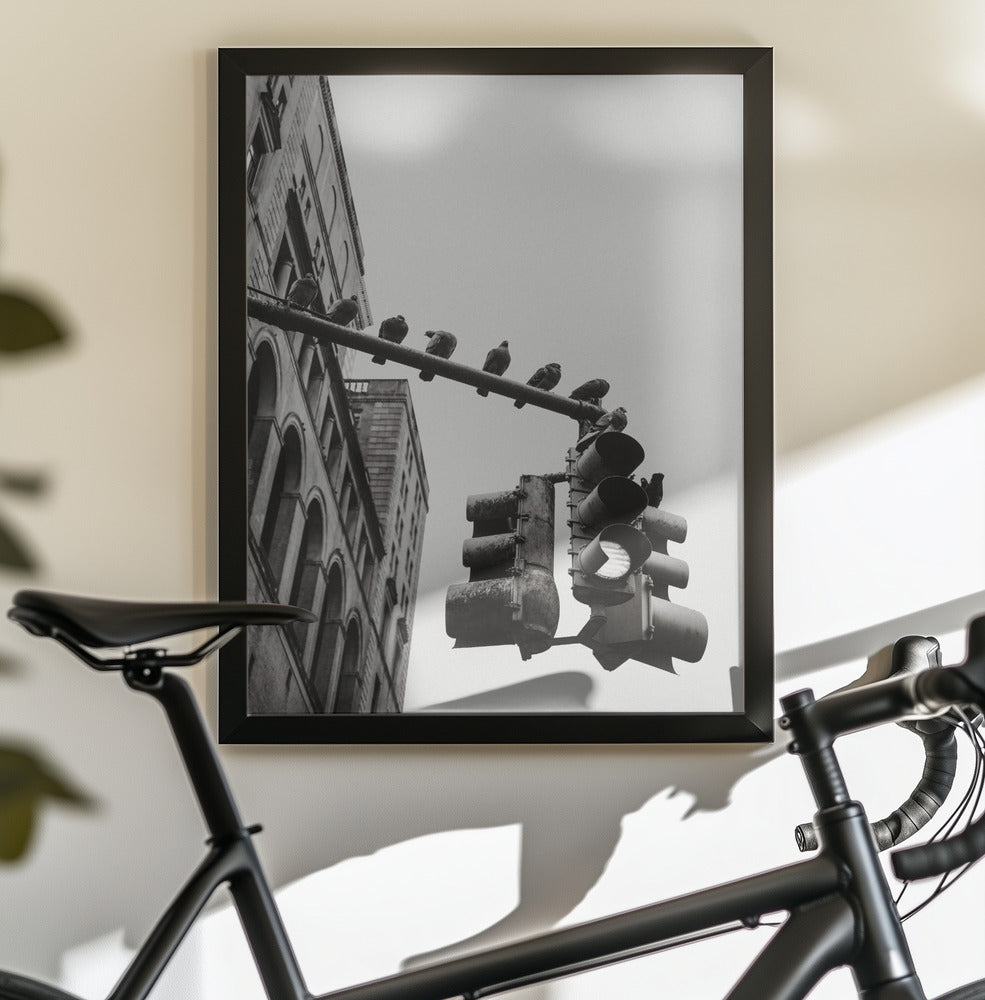 New York City Doves - Poster / Art Print - interiör