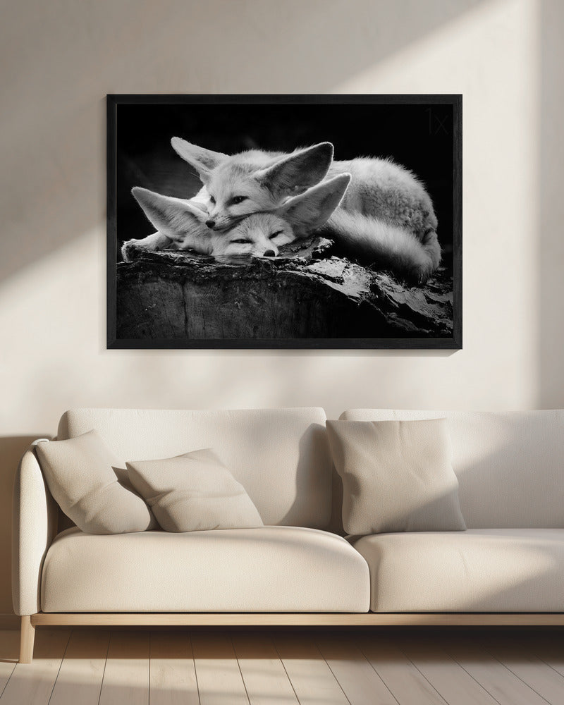 The happy couple - Poster / Art Print - interiör