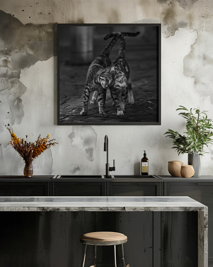 Two cats - Poster / Art Print - interiör
