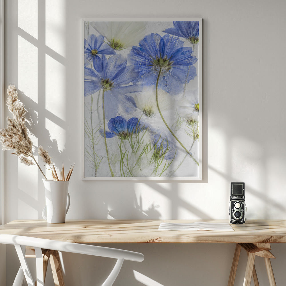 Cosmos blue - Poster / Art Print - interiör