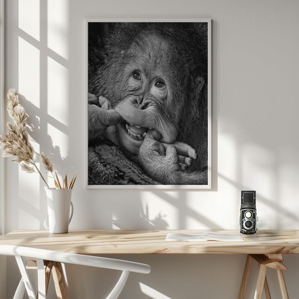 Big Smile.....please - Poster / Art Print - interiör