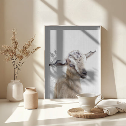 Peekaboo Baby Goat - Poster / Art Print - interiör