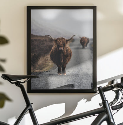 Cow - Poster / Art Print - interiör
