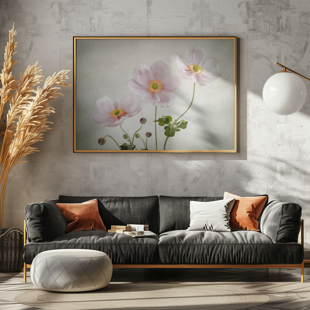 Anemones - Poster / Art Print - interiör