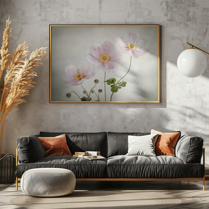 Anemones - Poster / Art Print - interiör