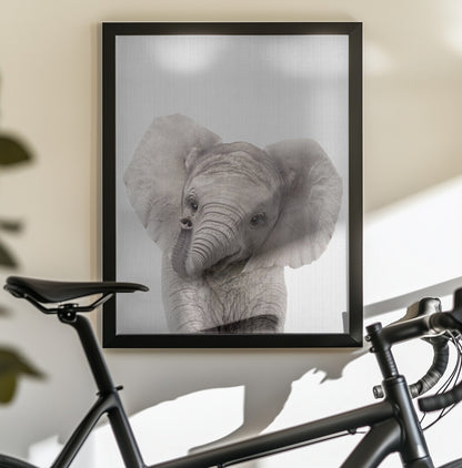 Peekaboo Baby Elephant - Poster / Art Print - interiör