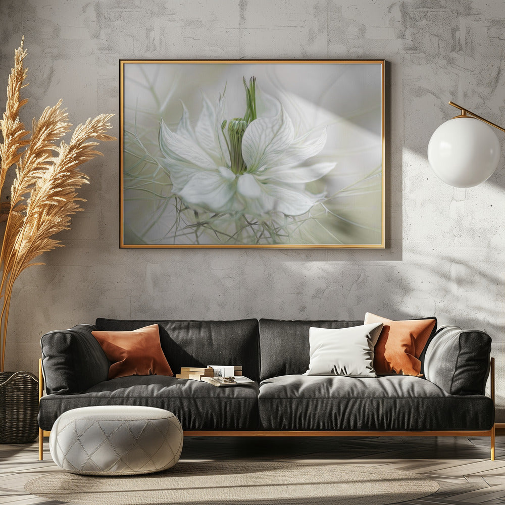 Nigella - Poster / Art Print - interiör