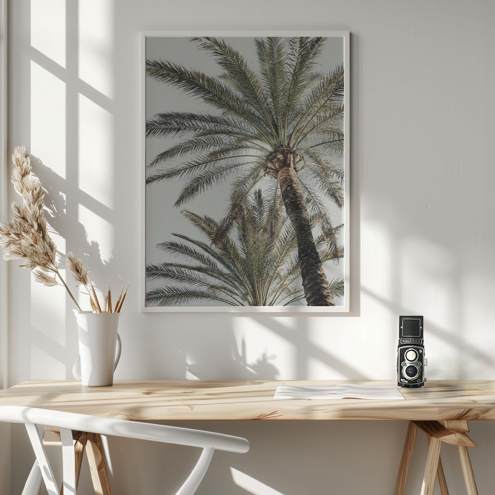 Palm_005 - Poster / Art Print - interiör