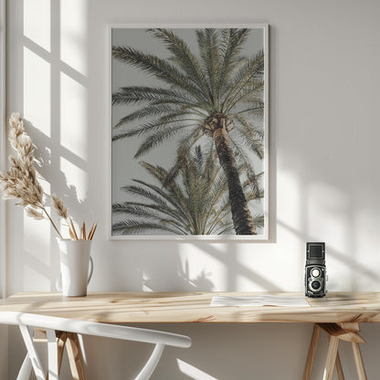 Palm_005 - Poster / Art Print - interiör