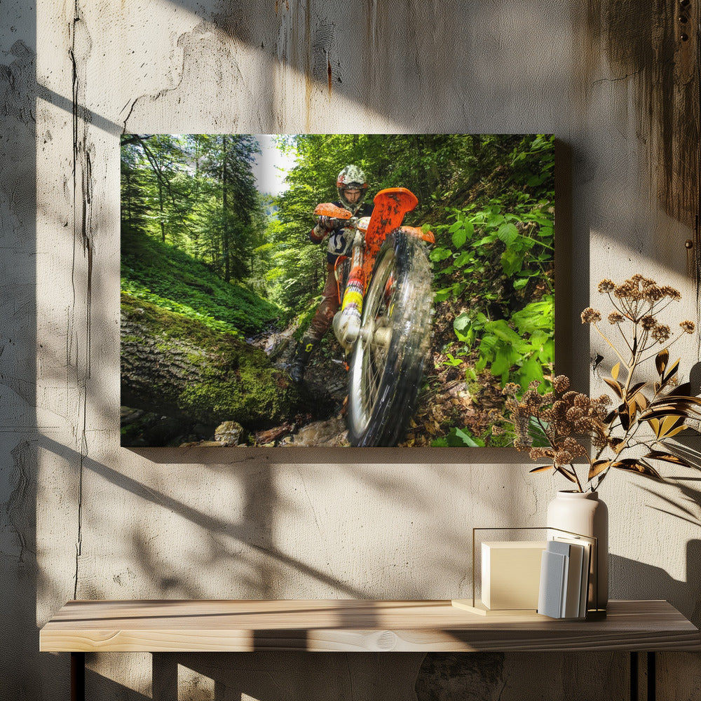 Carpath Enduro - Poster / Art Print - interiör