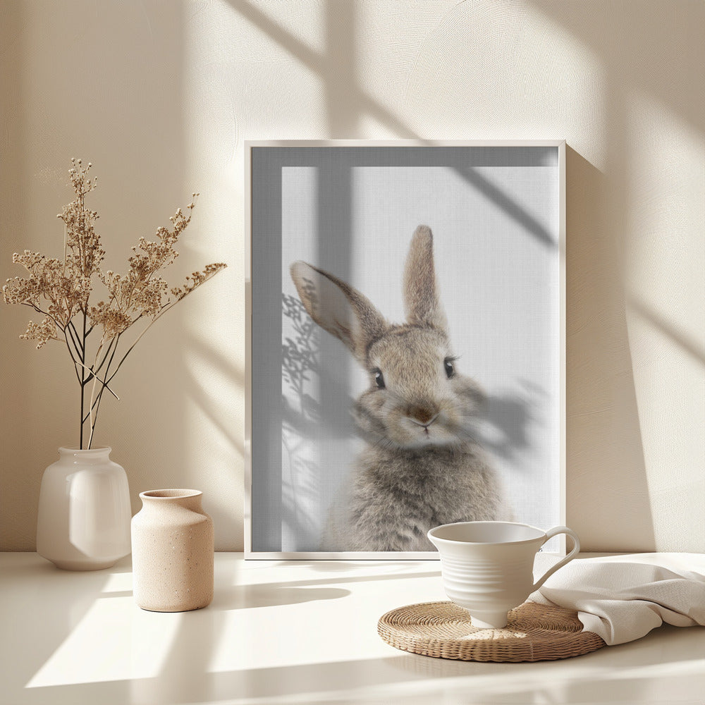 Peekaboo Bunny - Poster / Art Print - interiör