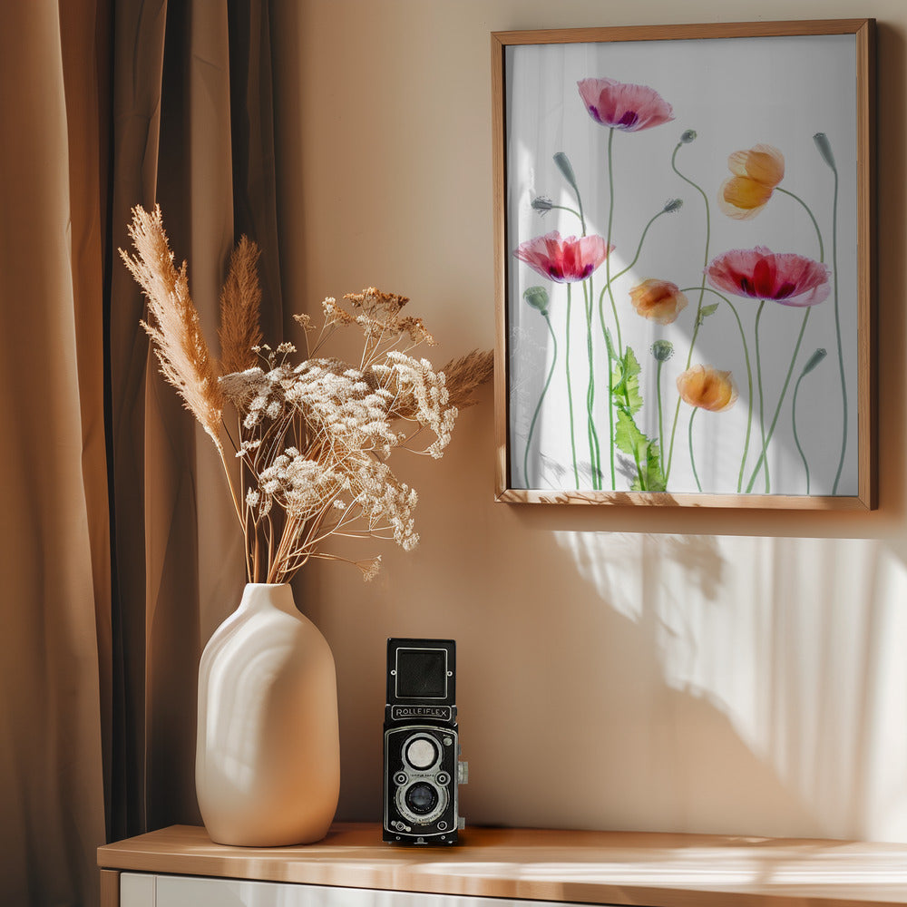 Poppies - Poster / Art Print - interiör