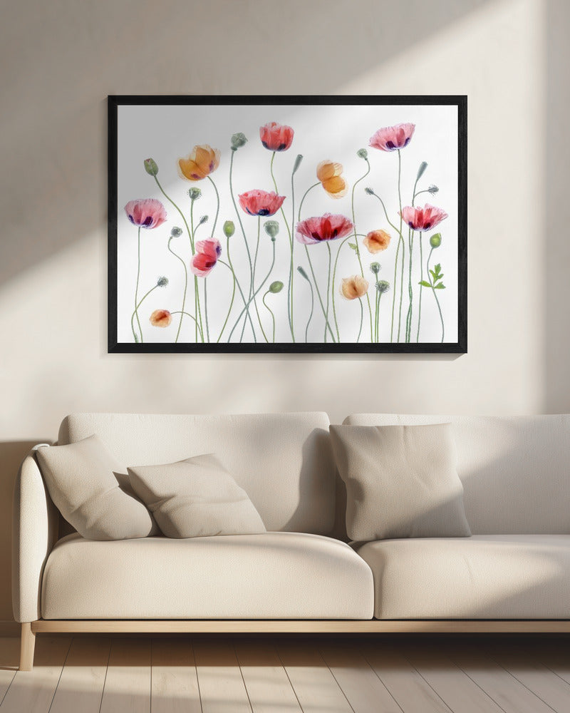 Papaver party - Poster / Art Print - interiör