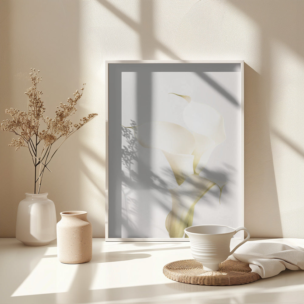 White Calla Lily No 3 - Poster / Art Print - interiör