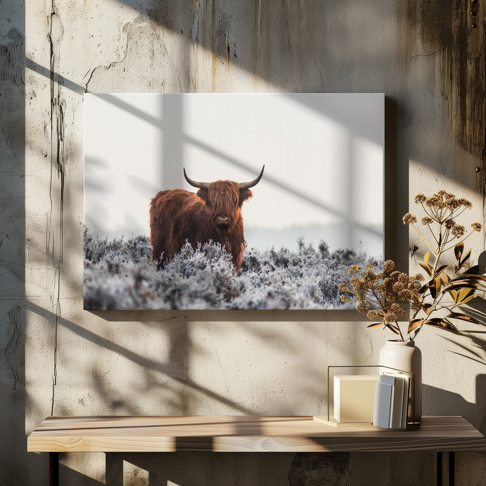 Highlander - Poster / Art Print - interiör