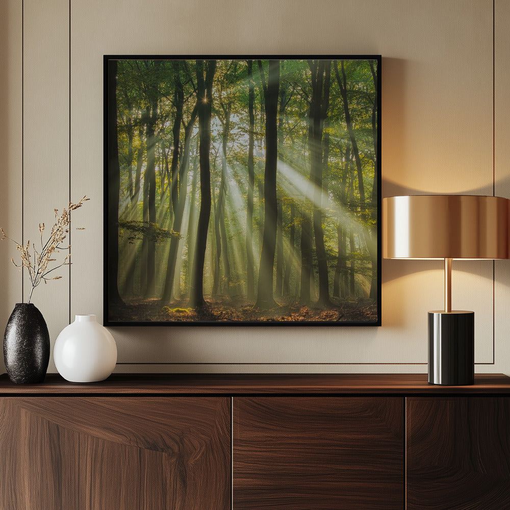 Sunny start to the day ........ - Poster / Art Print - interiör