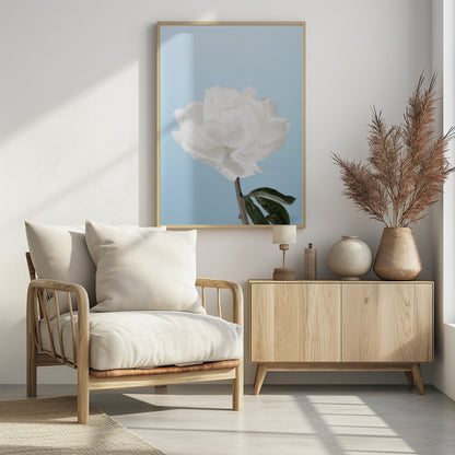 Peony - Poster / Art Print - interiör