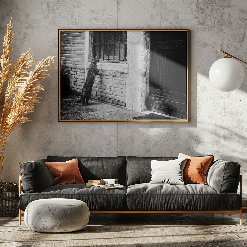 The cat - Poster / Art Print - interiör