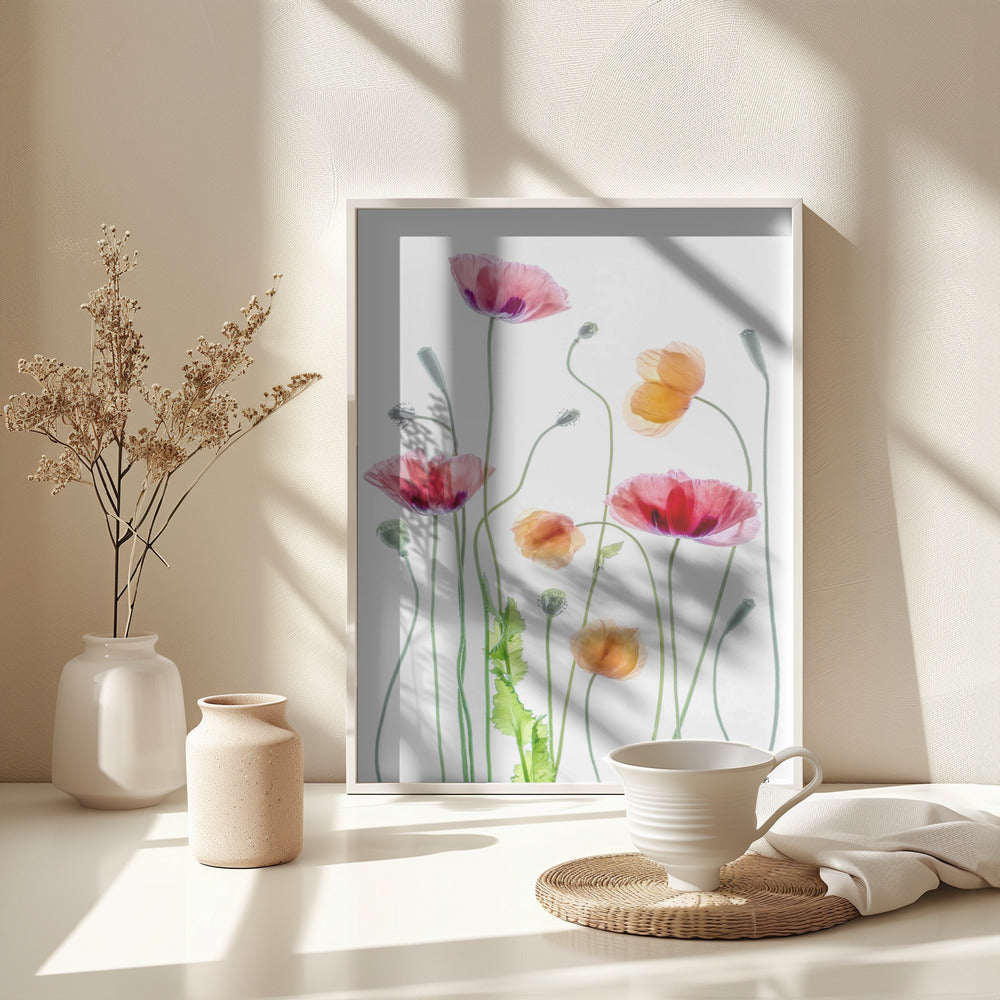 Poppies - Poster / Art Print - interiör