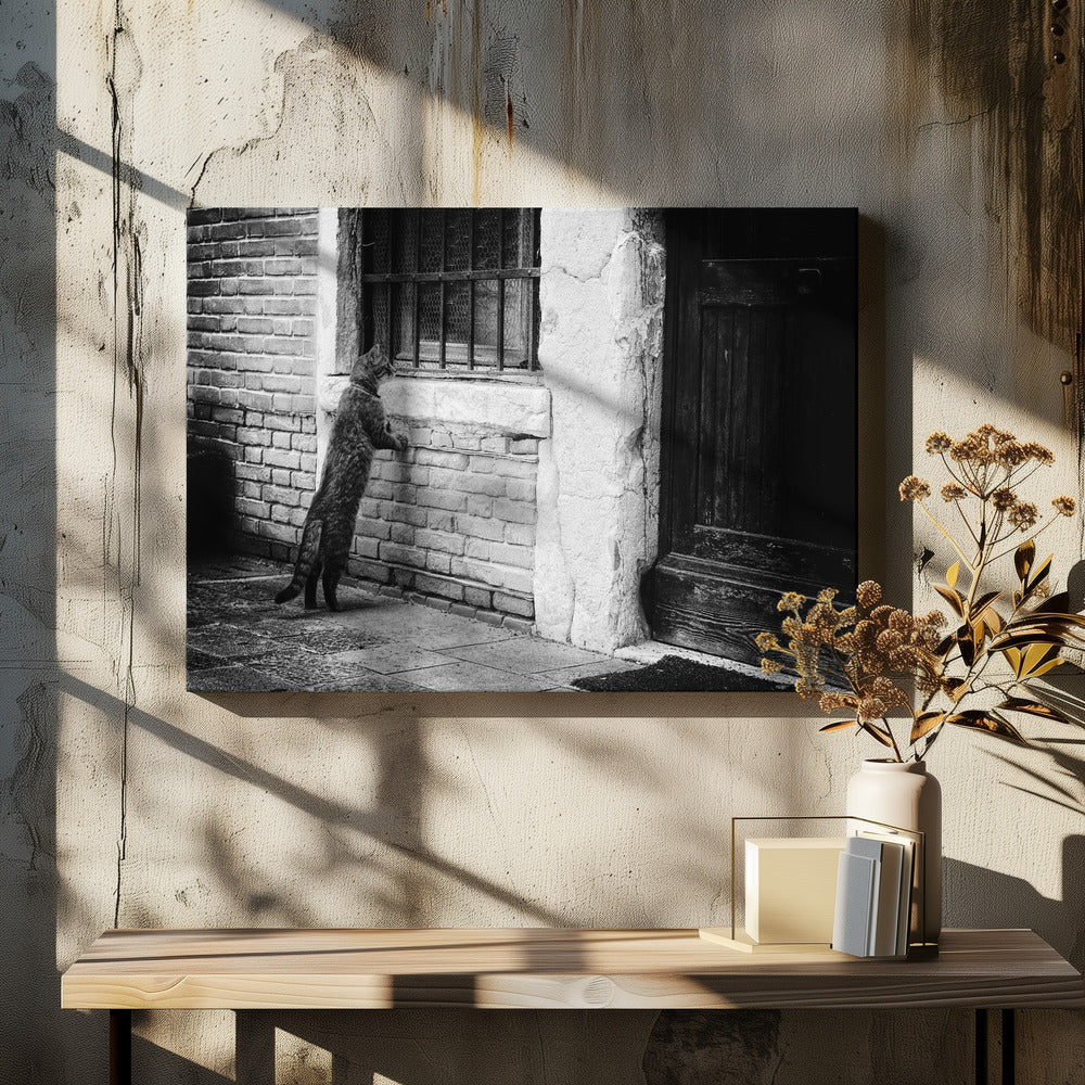The cat - Poster / Art Print - interiör
