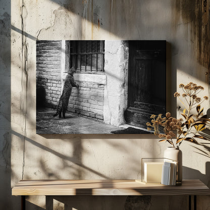 The cat - Poster / Art Print - interiör