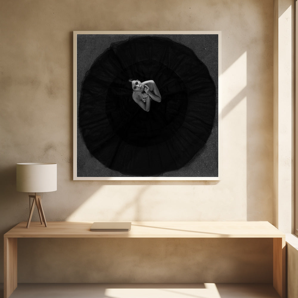 Black swan - Poster / Art Print - interiör