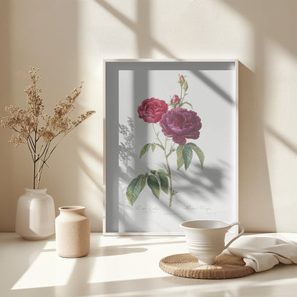 Purple French Rose, Les Roses (1817–1824) - Poster / Art Print - interiör