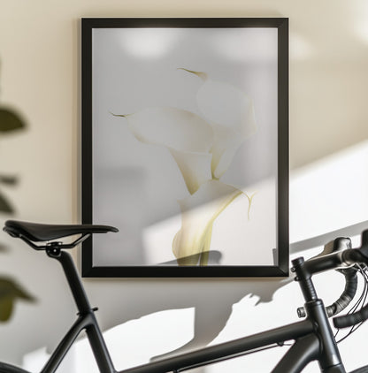 White Calla Lily No 3 - Poster / Art Print - interiör